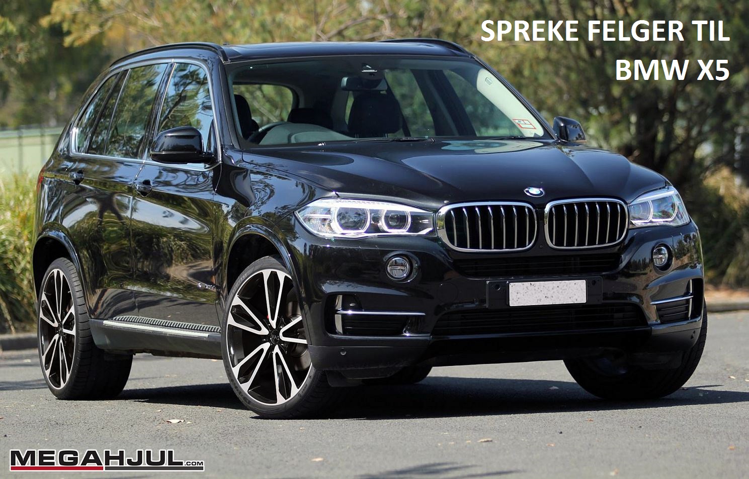 spreke-felger-til-bmw-x5